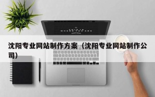 鄂州沈阳专业网站制作方案（沈阳专业网站制作公司）